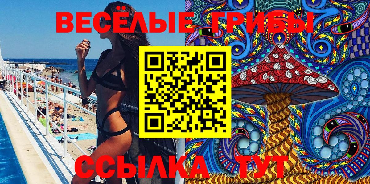 Выборг  Псилоцибиновые грибы GOLDEN TEACHER  магазин продажи наркотиков  Вход с VPN 