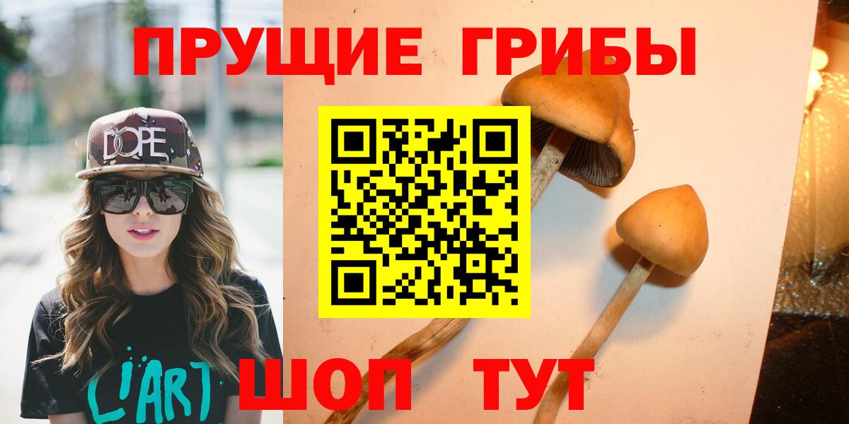 Псилоцибиновые грибы мухоморы Выборг